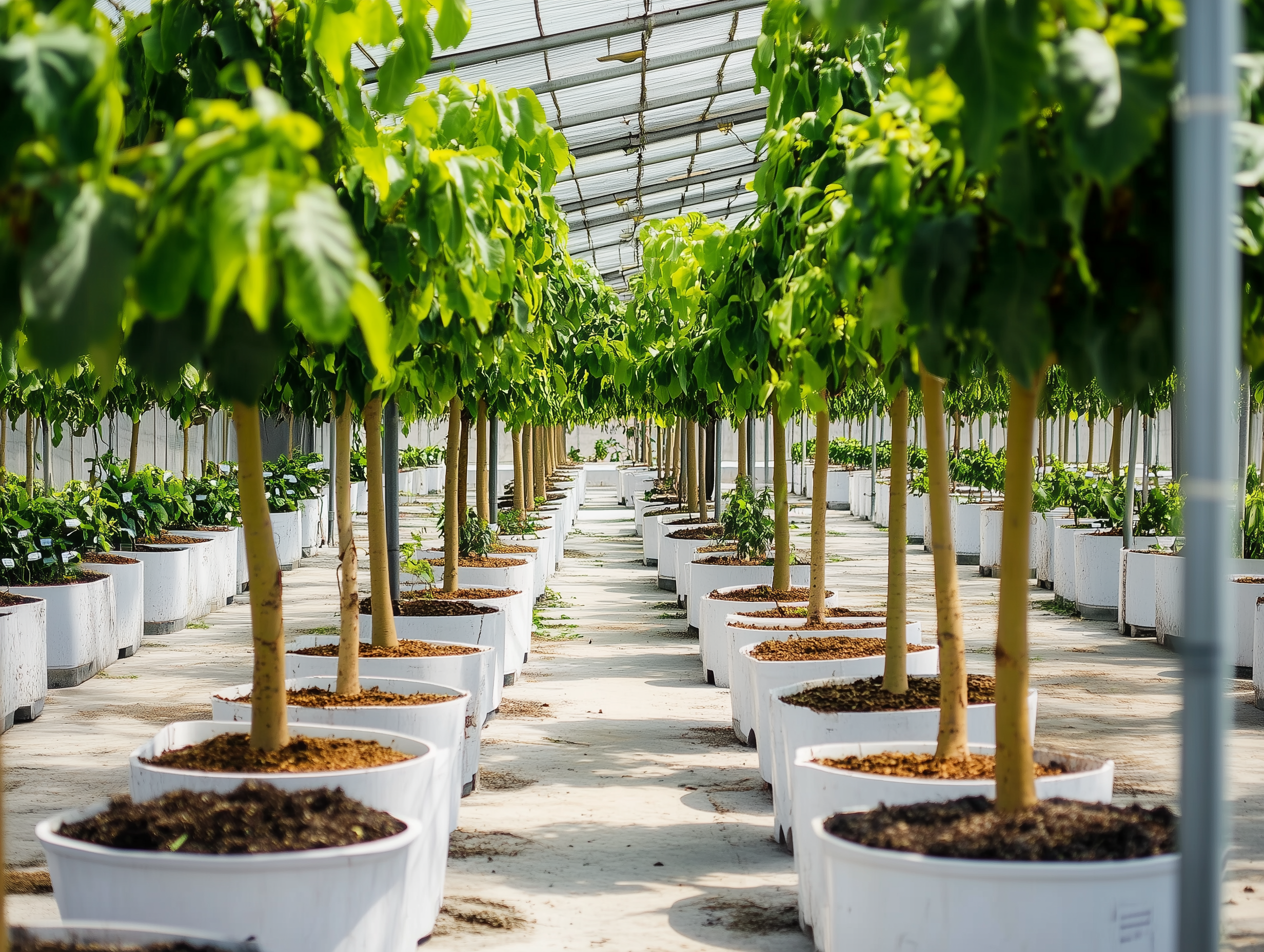 Kampaania optimeerimine